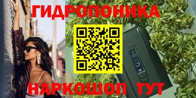 spice Гусь-Хрустальный