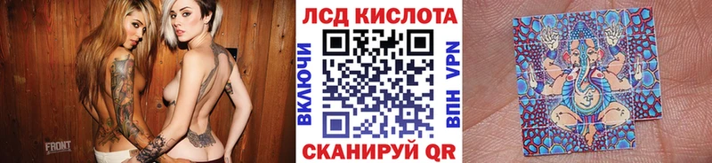 OMG ONION  где купить   Кольчугино  Марки N-bome 1,5мг 