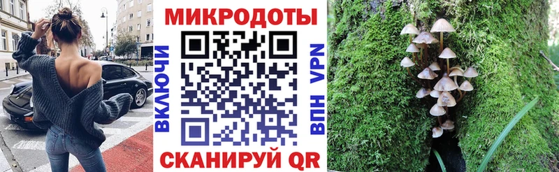 Псилоцибиновые грибы GOLDEN TEACHER  Кольчугино 