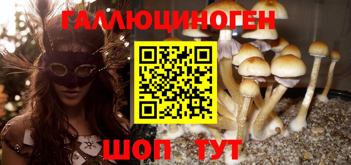 Кольчугино  Псилоцибиновые грибы MAGIC MUSHROOMS  Галлюциногенные грибы ЛСД  Вход с VPN 