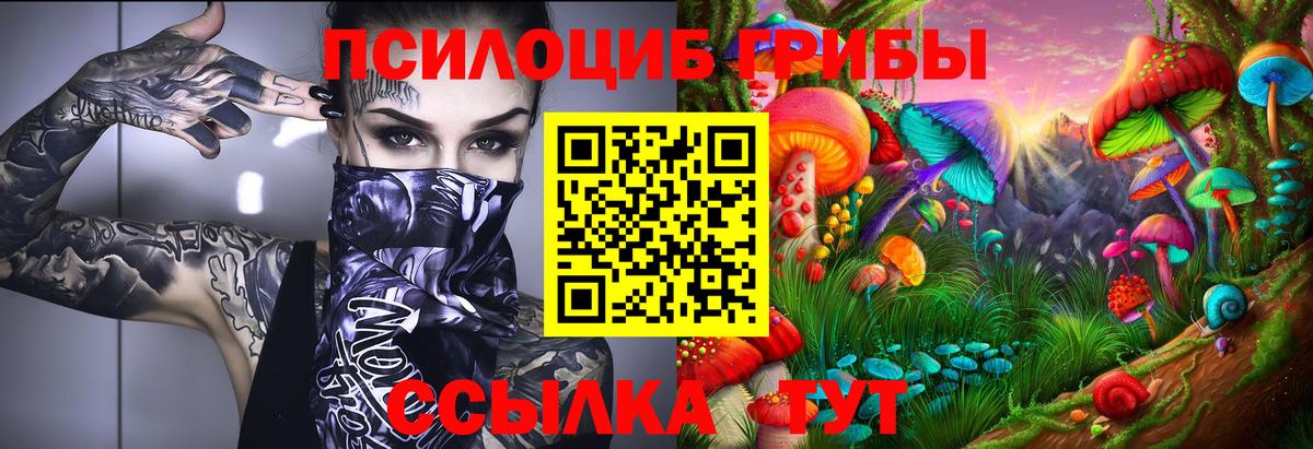 Псилоцибиновые грибы мухоморы Кольчугино