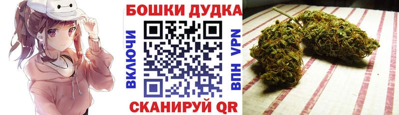 Каннабис сатива  где купить наркоту  Кольчугино 